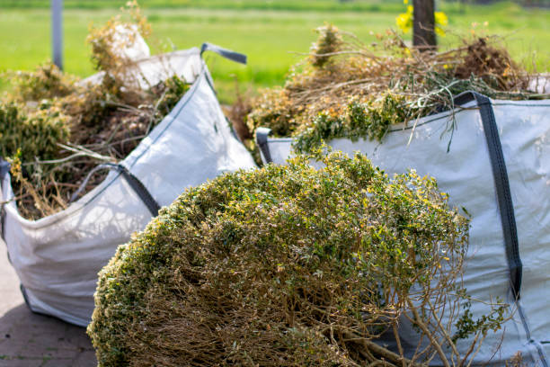 Best Same-Day Junk Removal Services  in Montgomery, MN